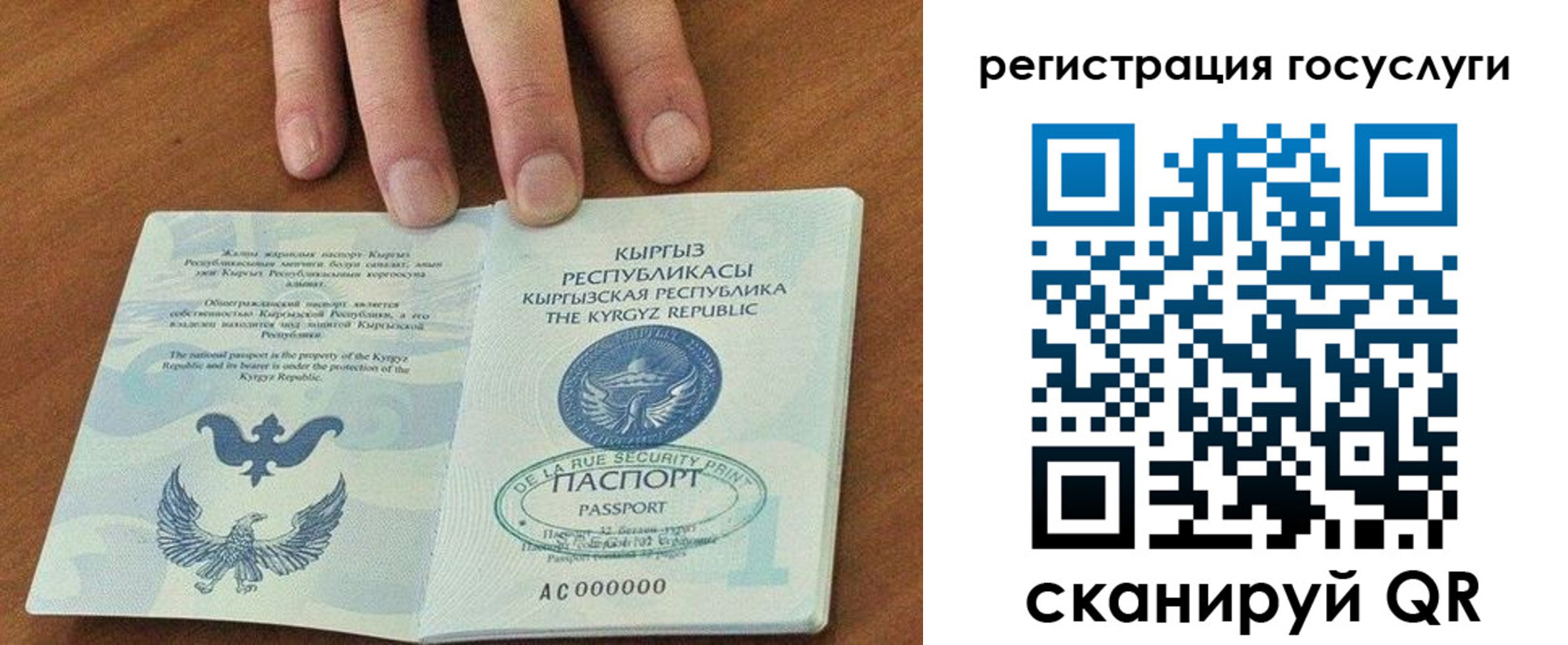 прописка ребенка в Домодедово